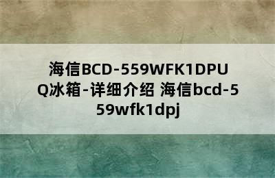 海信BCD-559WFK1DPUQ冰箱-详细介绍 海信bcd-559wfk1dpj